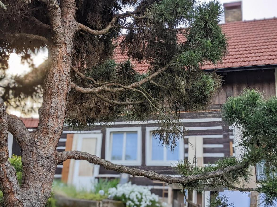 Chalupa u rybníka Střehom Dolní Bousov Exterior foto